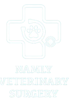 Namly Clinic Logo